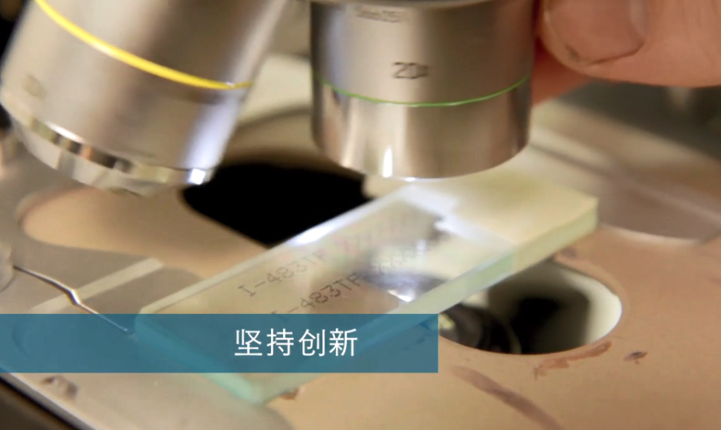 依瑪團隊,全力以赴為您提供理想的解決方案