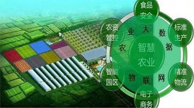 全程追溯，用數據把好農產品“生產關”